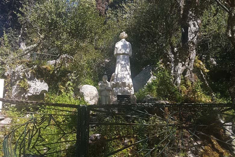 Immerse yourself in the tranquility of Fatima