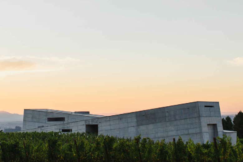 Edifício entre as vinhas da adega Caminhos Cruzados