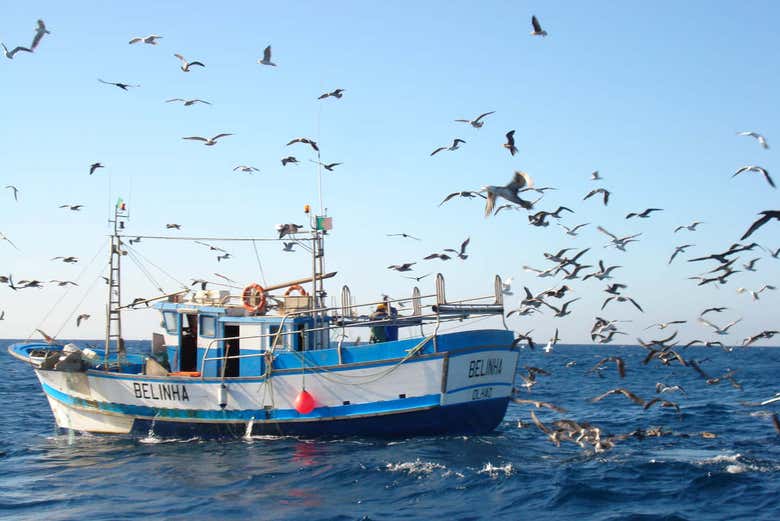 Fishing boat
