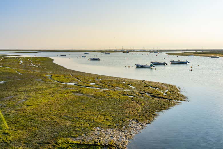 Ria Formosa Natural Reserve