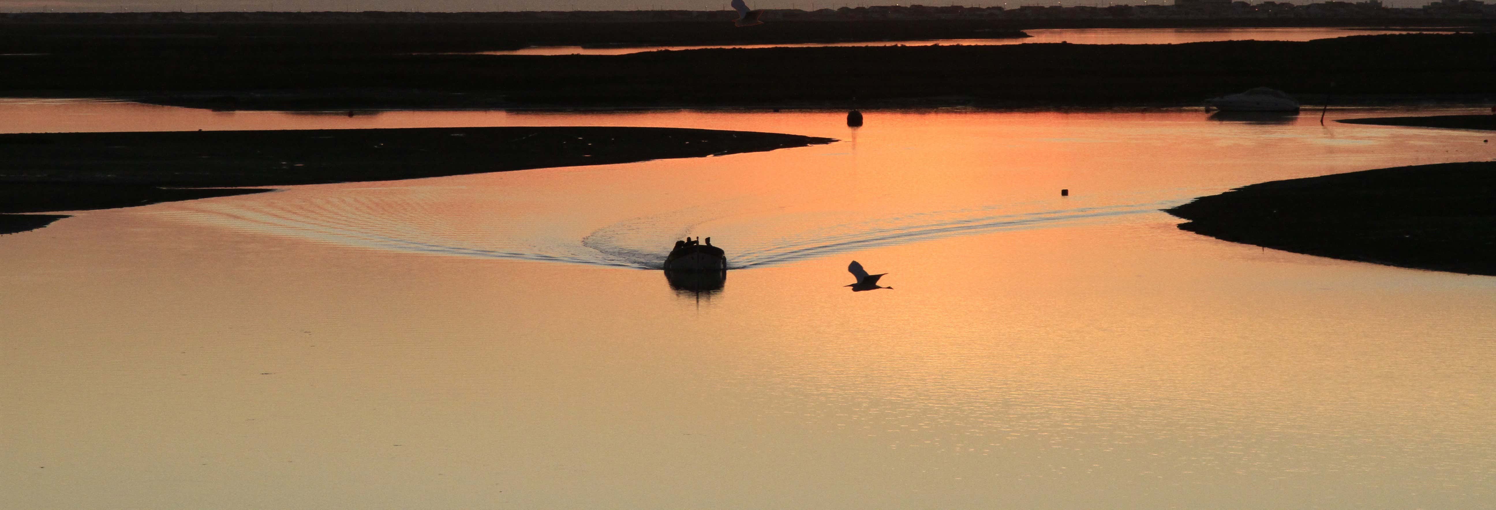 Passeios de barco em Olhão