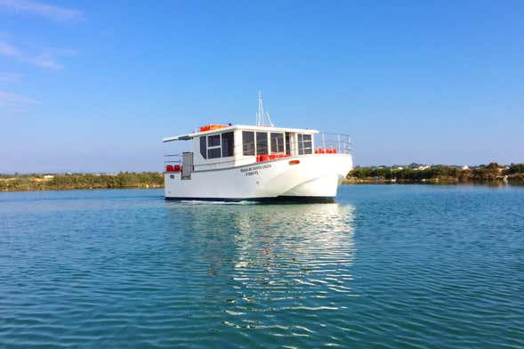 Paseo en barco por las islas de la Ría Formosa