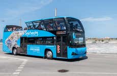 Bus touristique de Porto, Gray Line