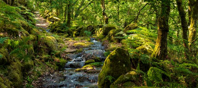 Barranquismo en el Parque Nacional Peneda-Gerês