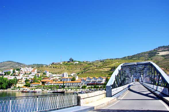 Crucero de 1 día a Pinhão