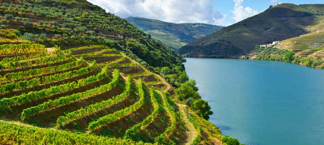 Croisière d'une journée jusqu'à Peso da Régua