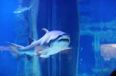 Ingresso do SEA LIFE® Porto