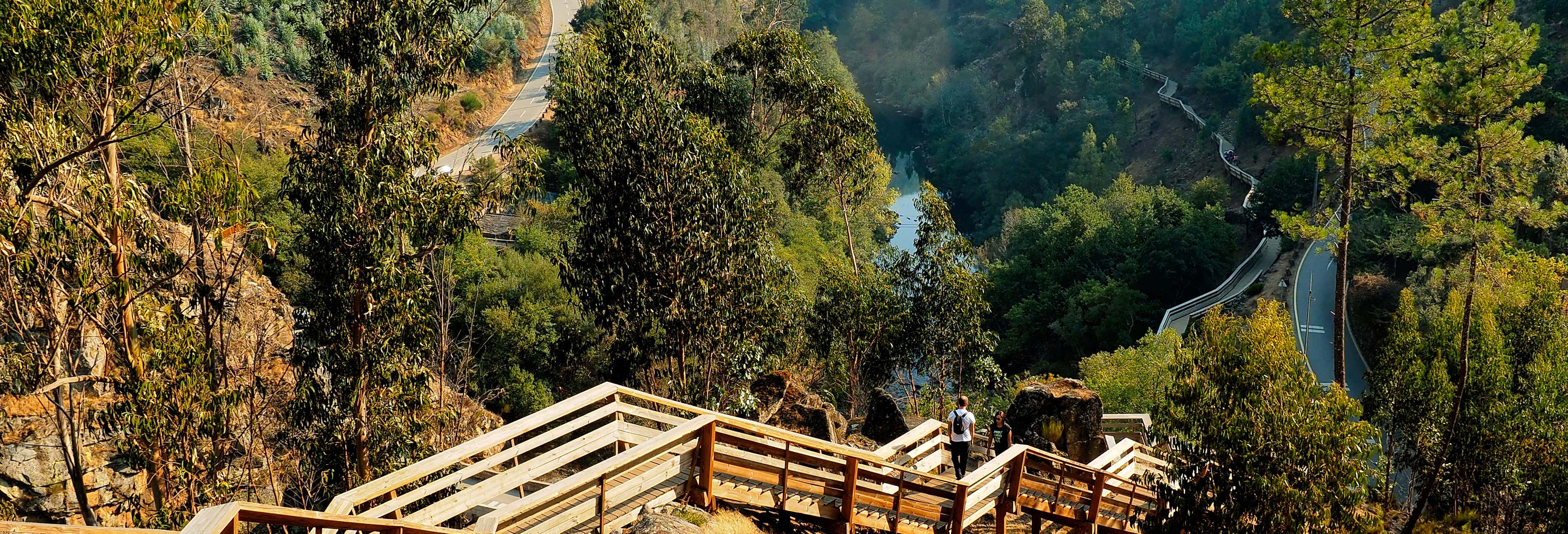 Excursiones de un día en Oporto