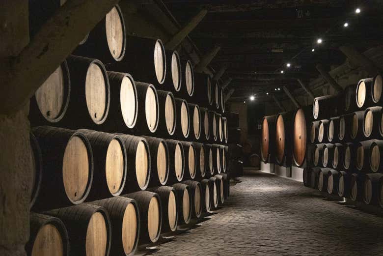 Barrels in the wine cellar