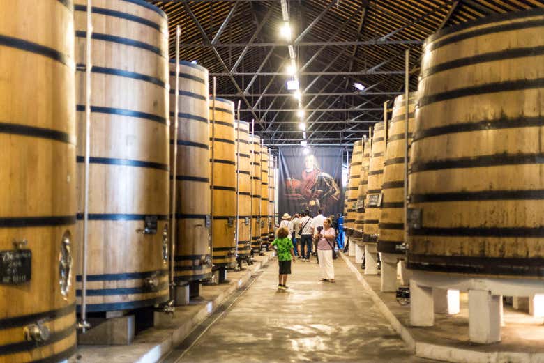 Visita della cantina Real Companhia Velha
