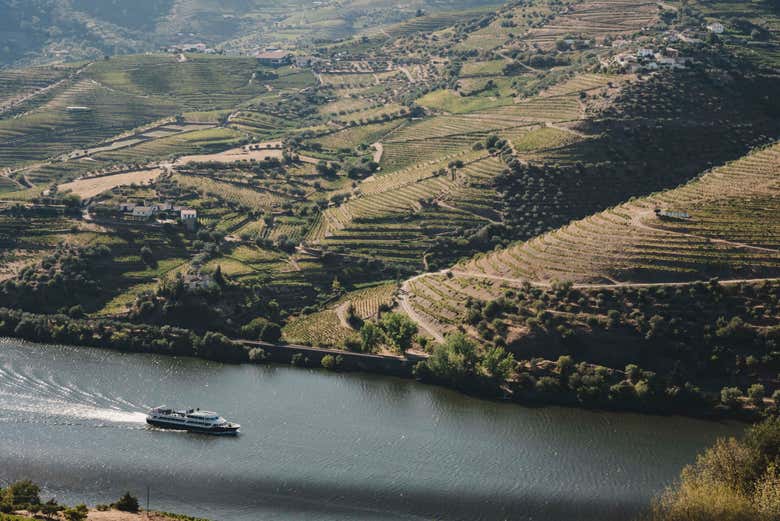 Barco Pinhão