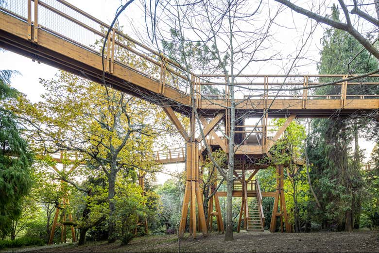 Podréis caminar entre las copas de los árboles