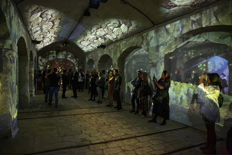 Disfrutando del espectáculo virtual