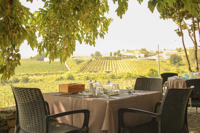 Degustazione con vista