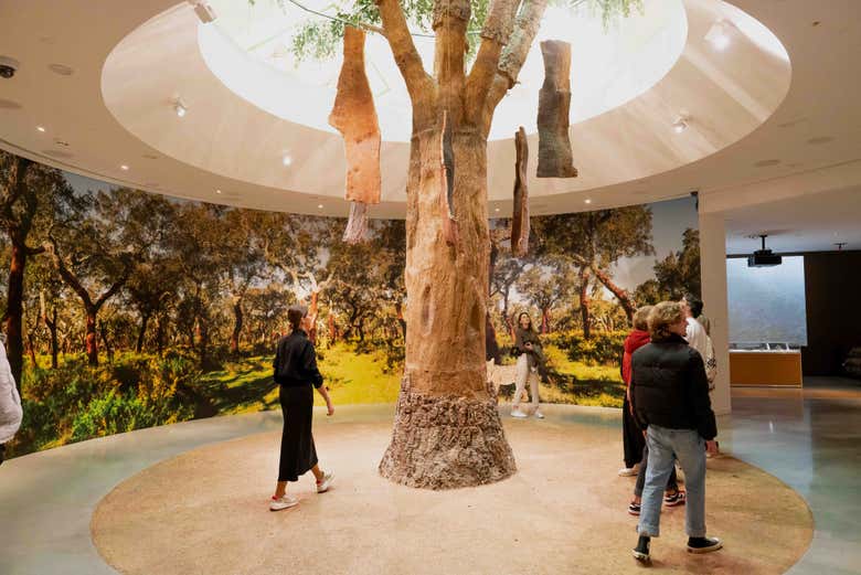 Planet Cork, au musée WOW Porto