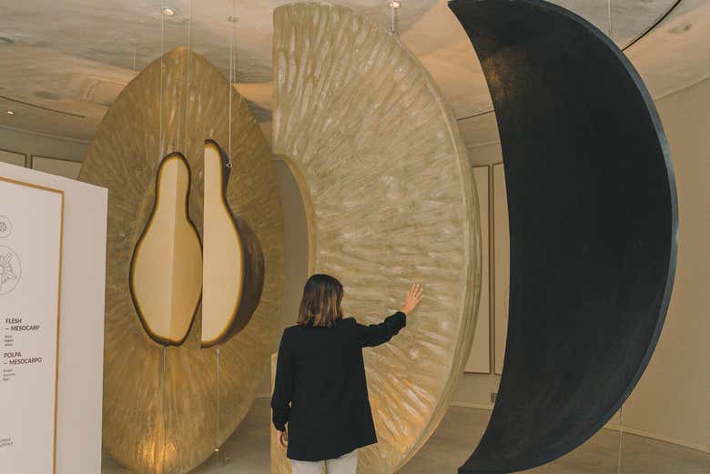 Explore a experiência do vinho