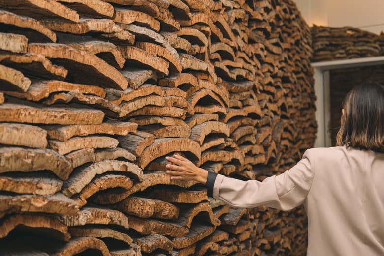 Aprenda sobre a produção de cortiça