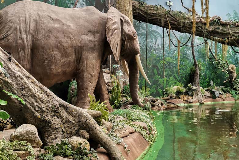 World of Discoveries