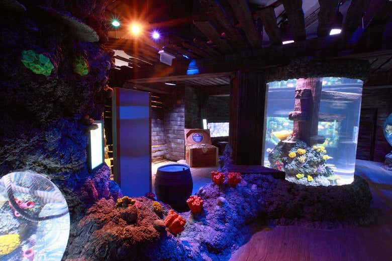 SEA LIFE® Porto