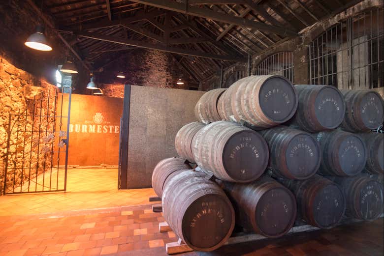 Visitando la bodega Burmester