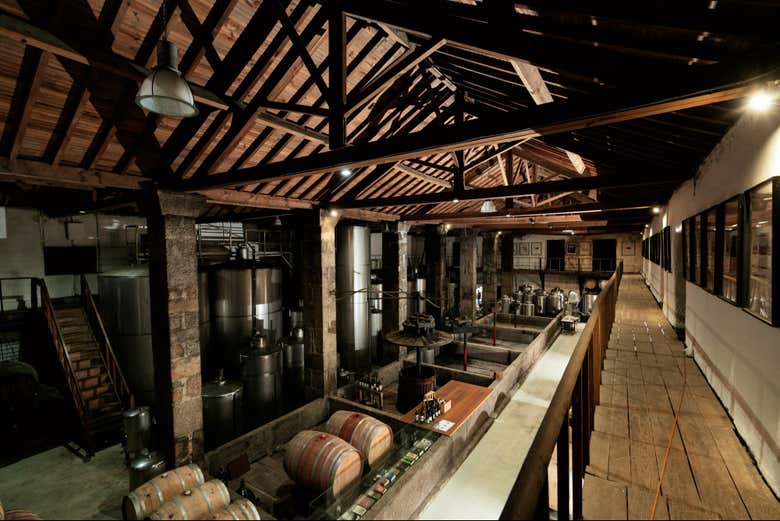 Bodega del Palacio de Mateus