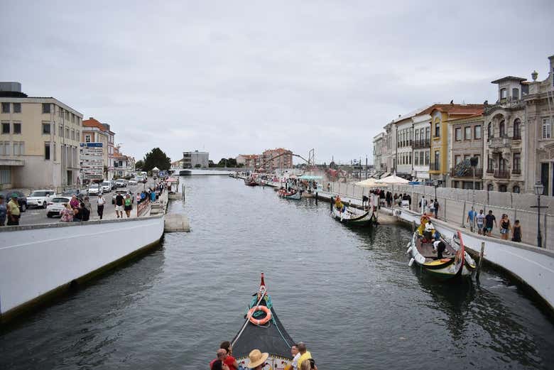 Daremos un paseo en barco moliceiro en Aveiro