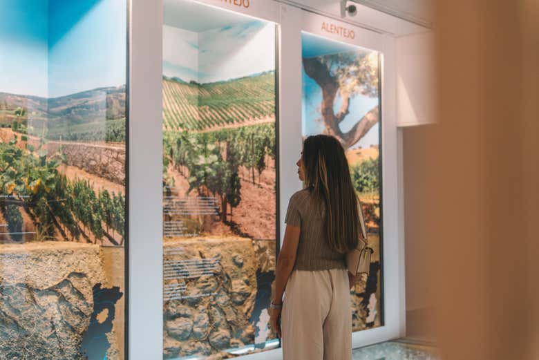 La mejor forma de aprender sobre vino en Oporto