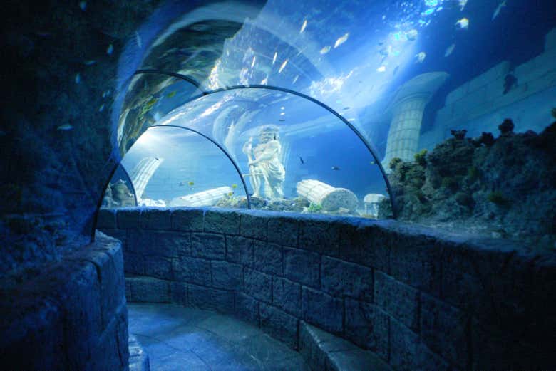 Visite du SEA LIFE® Porto