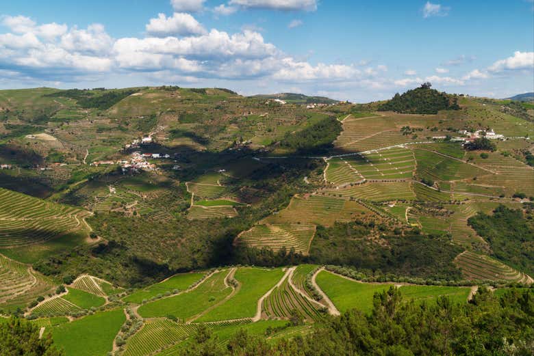 Admirando los paisajes de la región del Duero