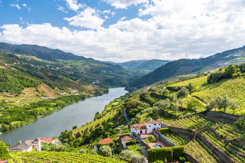 Panorâmica de Régua