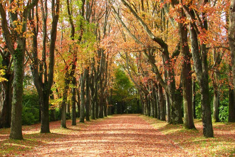Parque de la Fundación Serralves