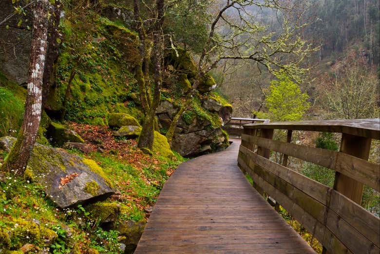 Passerelle di legno sopra al fiume