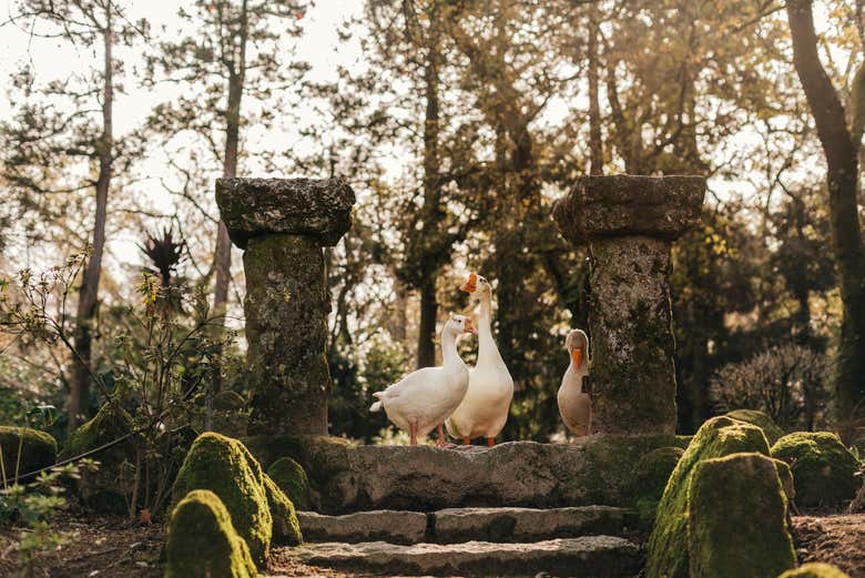 Los preciosos paisajes naturales de Quinta da Aveleda