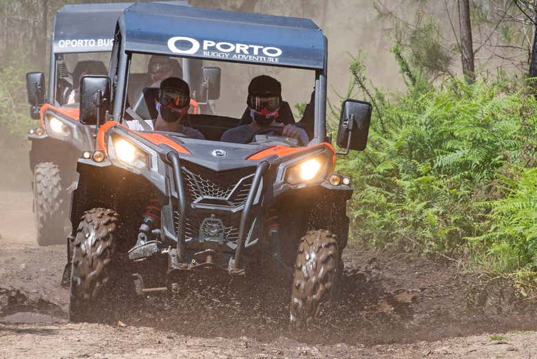 Dirigindo os buggies
