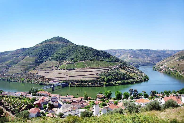 Pinhão