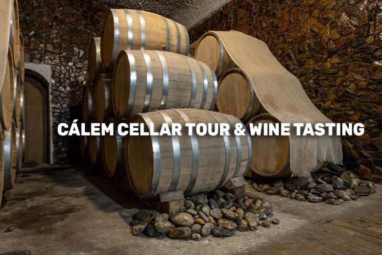 Visita a la bodega Calem