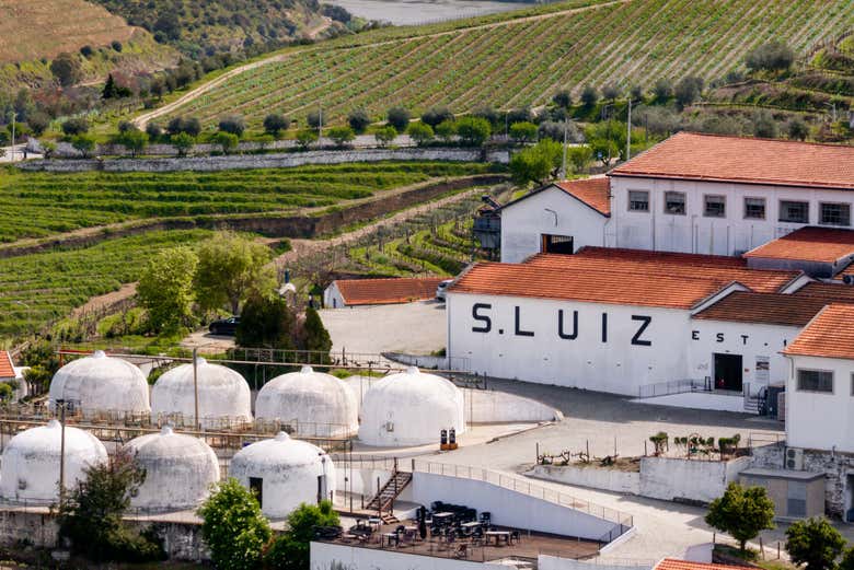 Visitaremos una bodega de la región del Duero