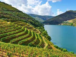 Valle del Duero