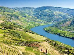 Valle del Duero