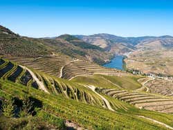 Valle del Duero