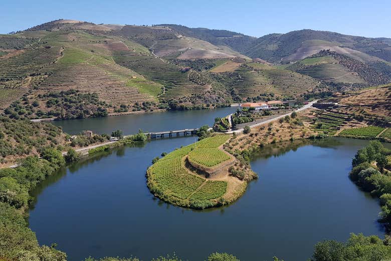 The Douro from above