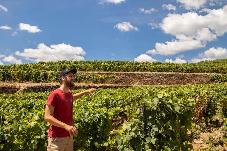Alla scoperta dei segreti del vino portoghese