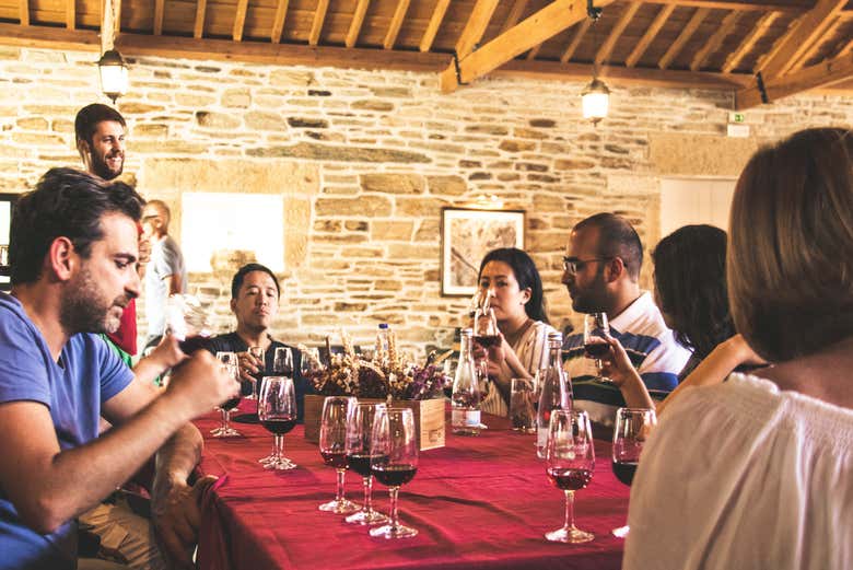 Cata de vinos