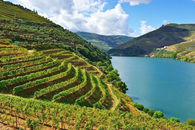 The Douro Valley from above