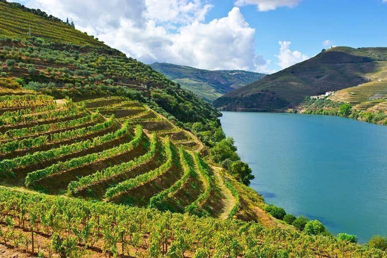 Valle del Duero