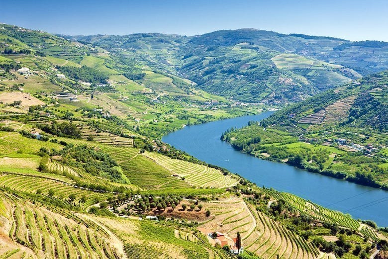 Douro Valley from above