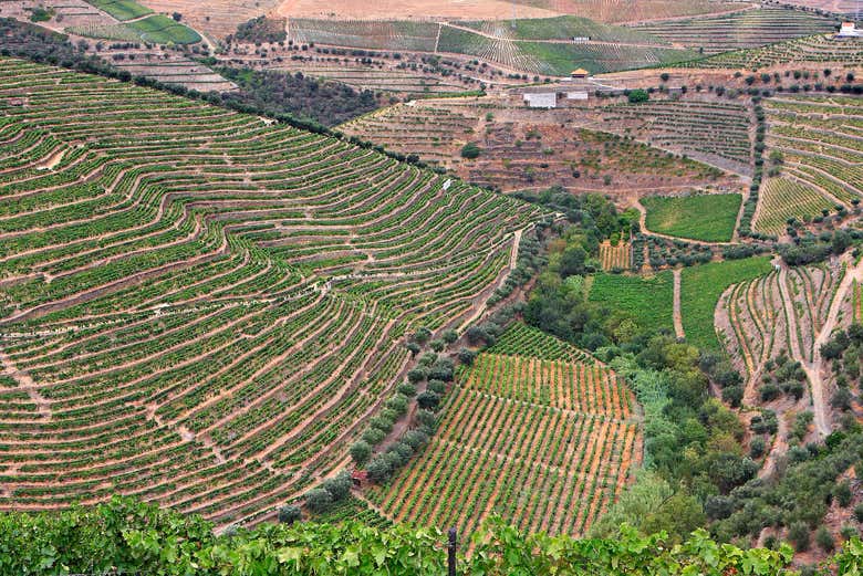 Valle del Douro