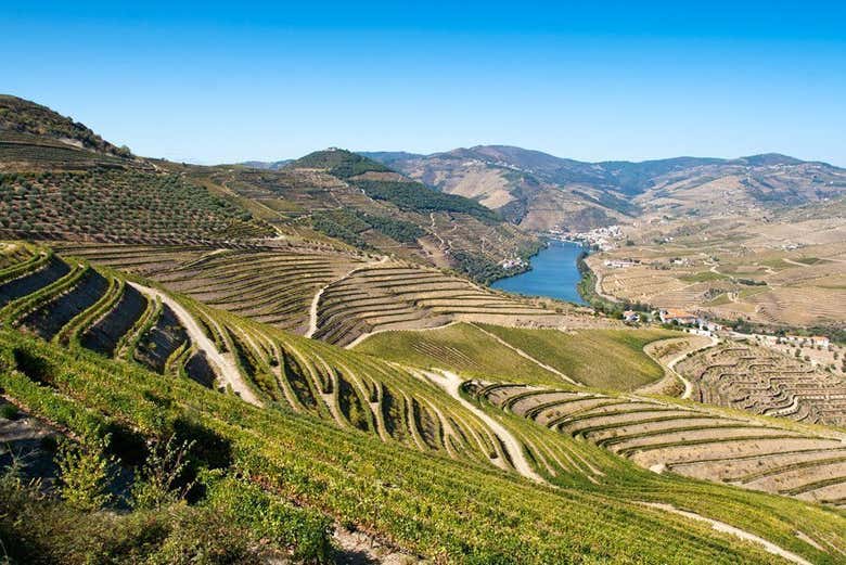 Valle del Duero