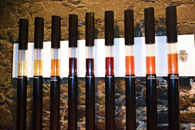 Aprendiendo sobre la elaboración del vino