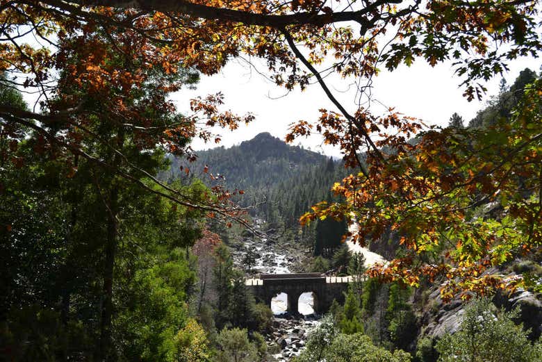 Parque Nacional Peneda-Gerês